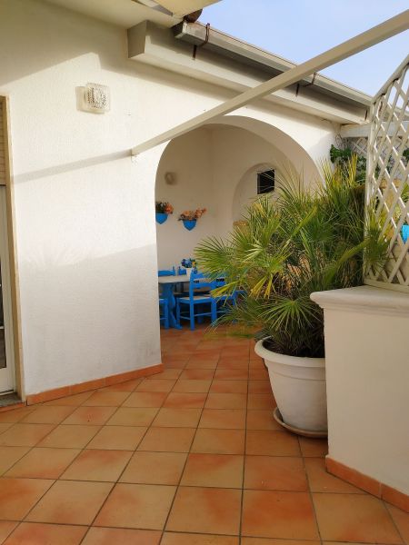 foto 7 Affitto tra privati Ugento - Torre San Giovanni appartement Puglia Lecce (provincia di) Terrazzo