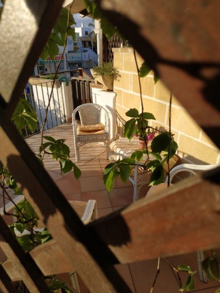 foto 12 Affitto tra privati Ugento - Torre San Giovanni appartement Puglia Lecce (provincia di) Terrazzo