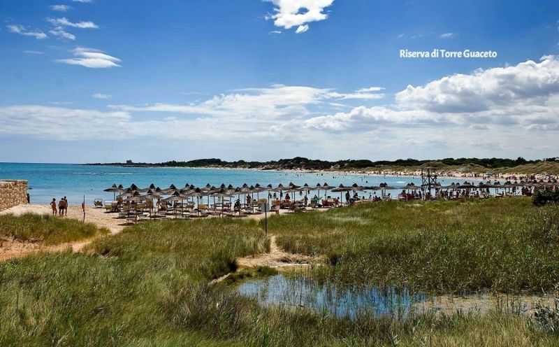 foto 27 Affitto tra privati Ostuni villa Puglia Brindisi (provincia di) Spiaggia