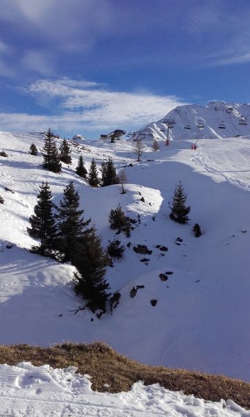 foto 13 Affitto tra privati La Plagne studio Rodano Alpi Savoia