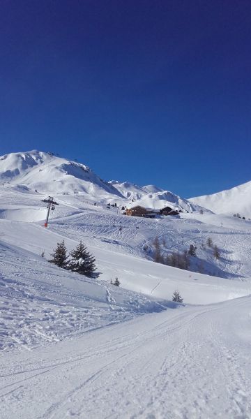 foto 15 Affitto tra privati La Plagne studio Rodano Alpi Savoia Altra vista