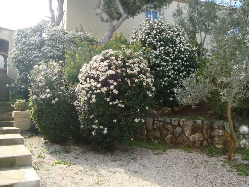 foto 12 Affitto tra privati Cassis bungalow Provenza Alpi Costa Azzurra Bocche del rodano Giardino