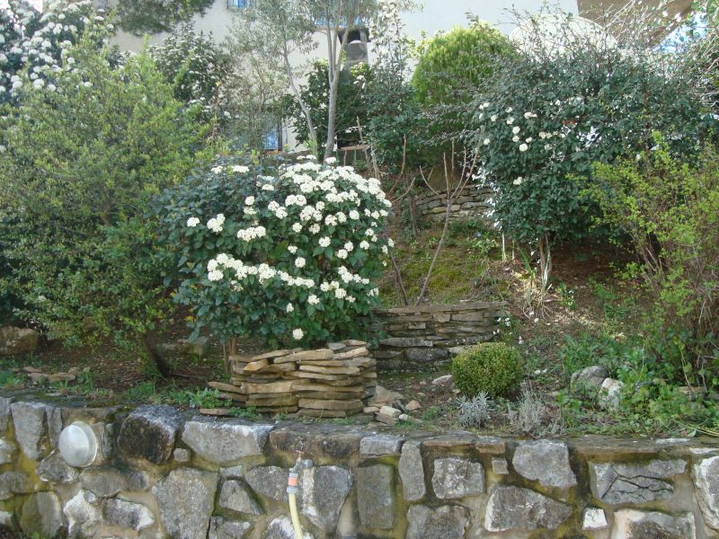 foto 14 Affitto tra privati Cassis bungalow Provenza Alpi Costa Azzurra Bocche del rodano Giardino