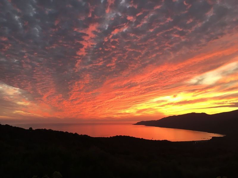 foto 24 Affitto tra privati Serra-di-Ferro maison Corsica Corsica del Sud Vista dal terrazzo