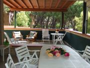 Affitto case vacanza Grosseto (Provincia Di) per 4 persone: appartement n. 105881