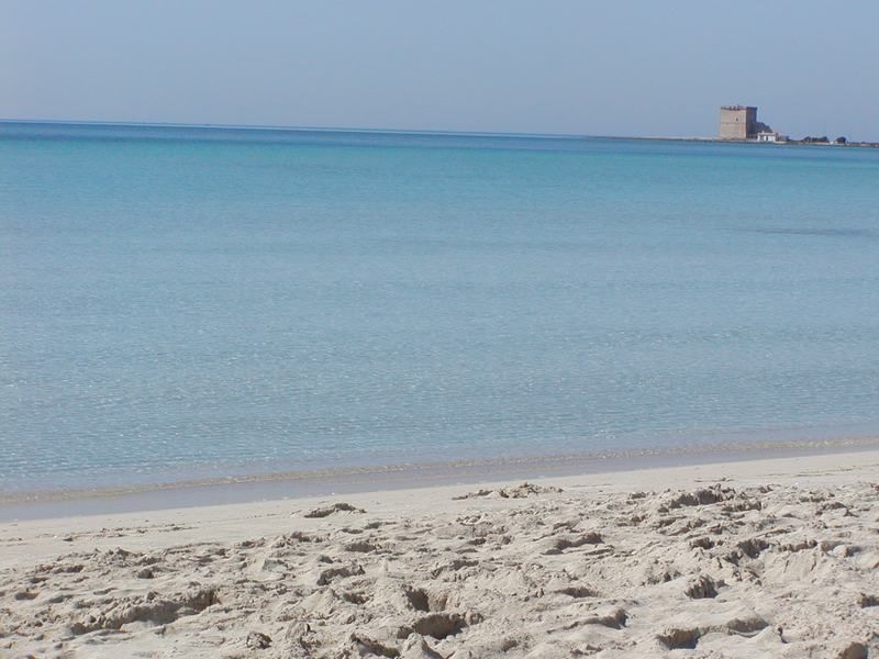 foto 10 Affitto tra privati Torre Lapillo appartement Puglia  Spiaggia