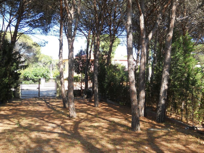 foto 24 Affitto tra privati Posada appartement Sardegna Nuoro (provincia di) Giardino