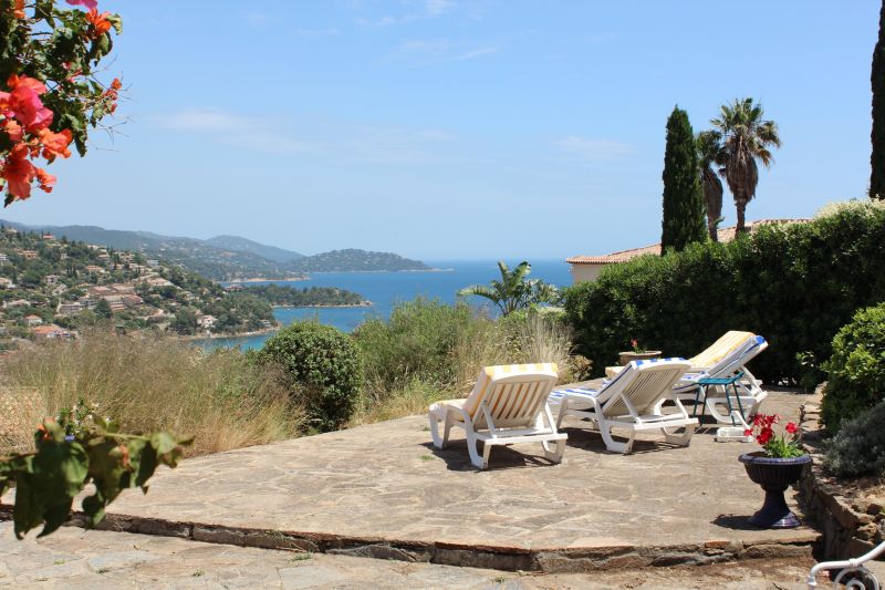 foto 0 Affitto tra privati Le Lavandou villa Provenza Alpi Costa Azzurra Var