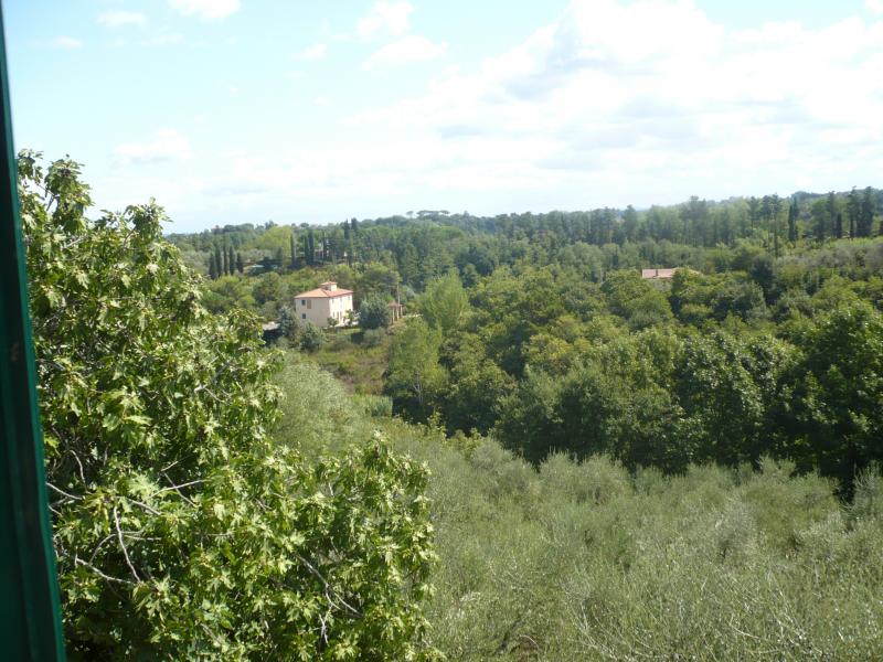 foto 4 Affitto tra privati Lari villa Toscana Pisa (provincia di)