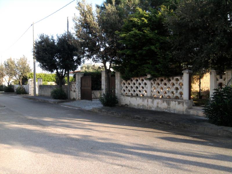 foto 8 Affitto tra privati Ostuni appartement Puglia Brindisi (provincia di) Vista esterna della casa vacanze