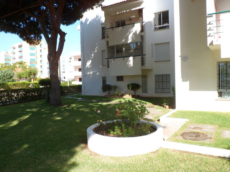 foto 3 Affitto tra privati Vilamoura appartement Algarve  Giardino