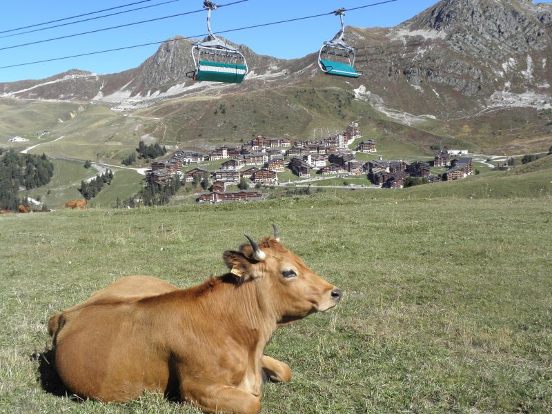 foto 29 Affitto tra privati La Plagne appartement Rodano Alpi Savoia Vista nelle vicinanze