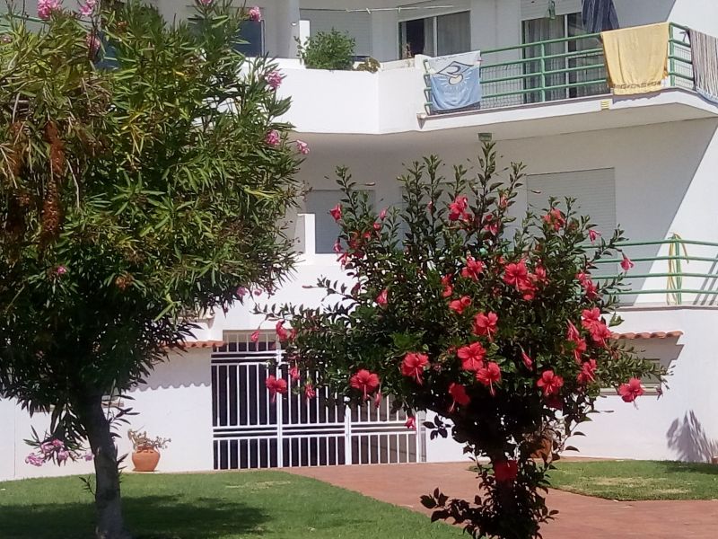 foto 3 Affitto tra privati Albufeira appartement Algarve