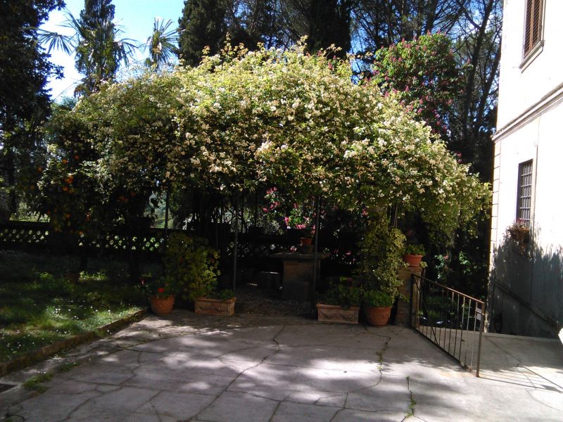 foto 25 Affitto tra privati Camaiore appartement Toscana Lucca (provincia di) Giardino