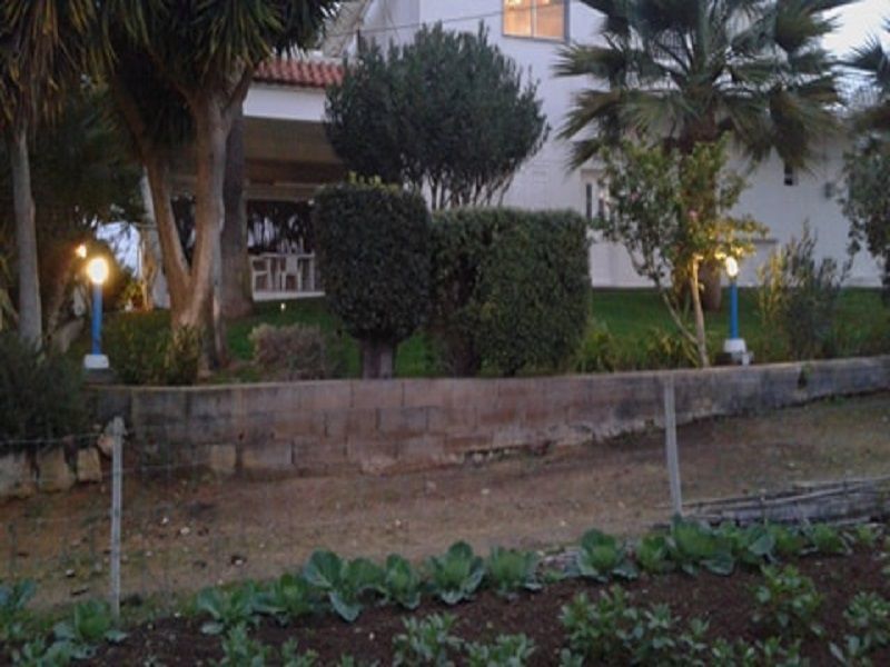 foto 10 Affitto tra privati Almancil appartement Algarve  Giardino