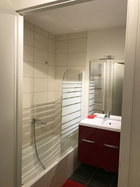 foto 9 Affitto tra privati Thonon Les Bains appartement Rodano Alpi Alta Savoia Bagno