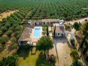 Affitto case vacanza Sicilia per 15 persone: villa n. 123590