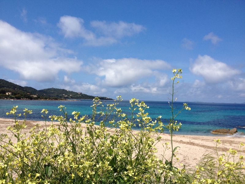 foto 27 Affitto tra privati Porticcio maison Corsica Corsica del Sud Spiaggia