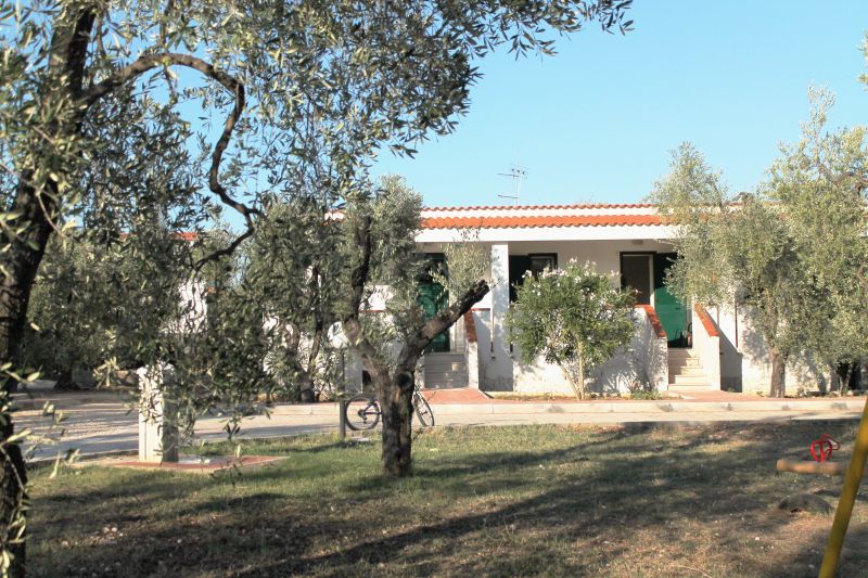 foto 0 Affitto tra privati Vieste gite Puglia Foggia (provincia di) Vista esterna della casa vacanze