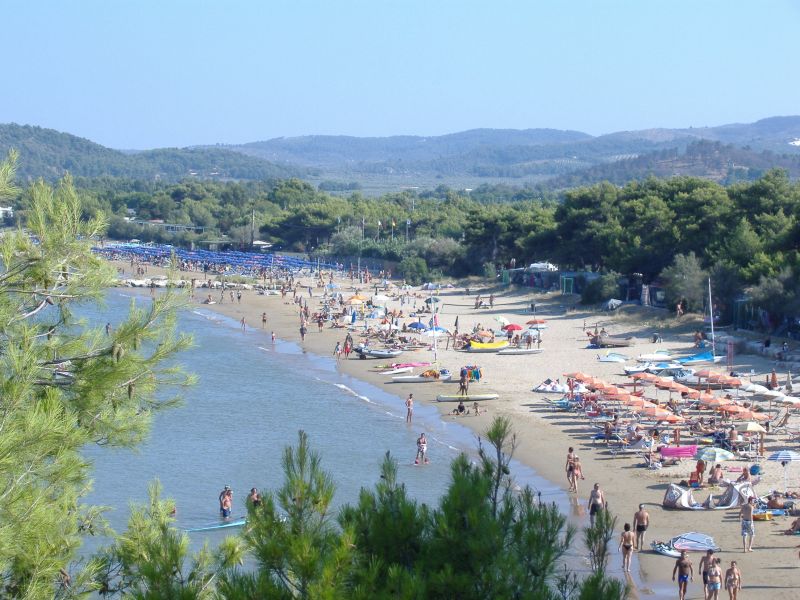 foto 13 Affitto tra privati Vieste gite Puglia Foggia (provincia di) Spiaggia