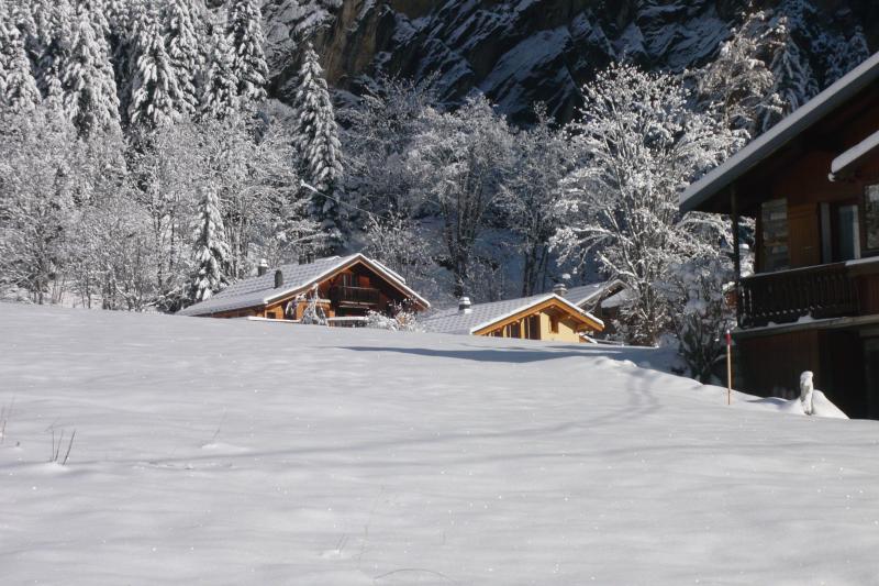 foto 2 Affitto tra privati Pralognan la Vanoise chalet Rodano Alpi Savoia Vista esterna della casa vacanze