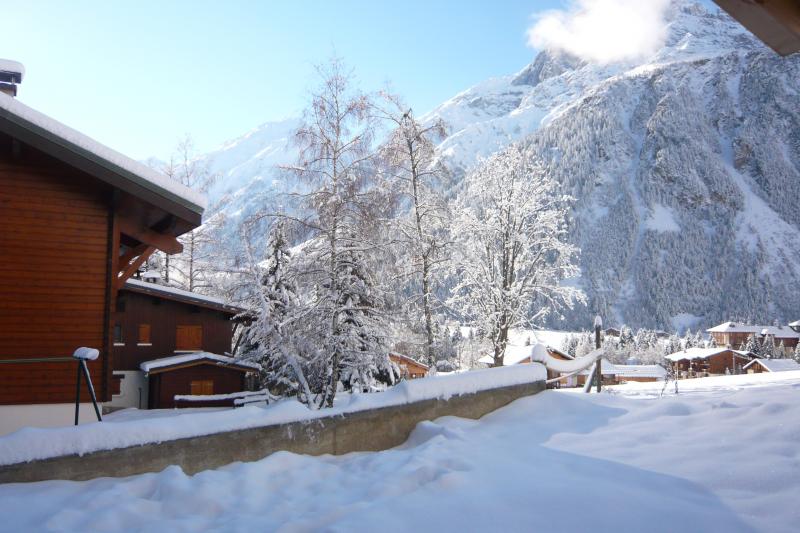 foto 3 Affitto tra privati Pralognan la Vanoise chalet Rodano Alpi Savoia Vista dalla casa vacanze
