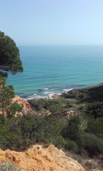 foto 19 Affitto tra privati Olhos d'Agua appartement Algarve  Spiaggia