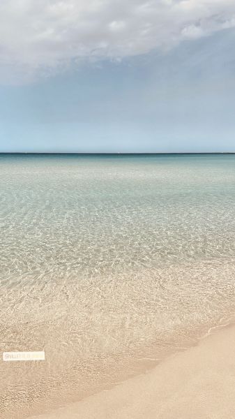 foto 22 Affitto tra privati San Vito lo Capo appartement Sicilia Trapani (provincia di) Spiaggia