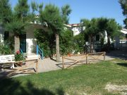 Affitto case vacanza Peschici per 3 persone: appartement n. 89546