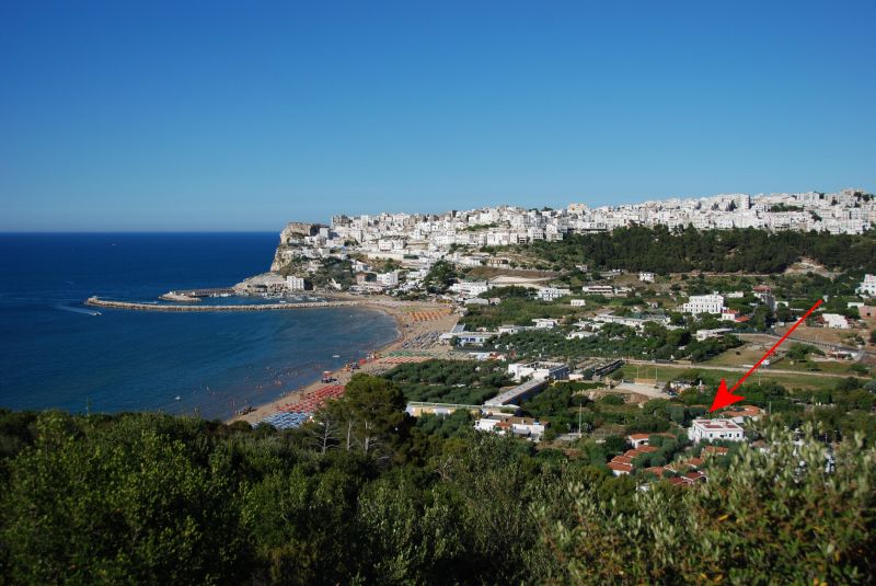 foto 1 Affitto tra privati Peschici appartement Puglia Foggia (provincia di)