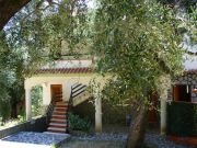 Affitto case vacanza Ascea: appartement n. 89629