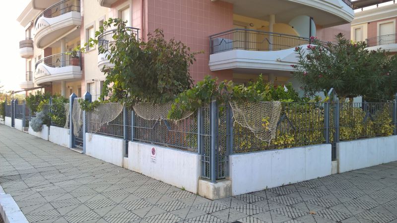 foto 1 Affitto tra privati Termoli appartement Molise Campobasso (provincia di) Vista dal balcone