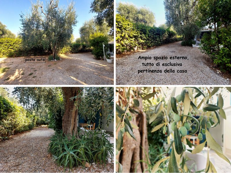 foto 4 Affitto tra privati Mattinata maison Puglia Foggia (provincia di) Vista esterna della casa vacanze