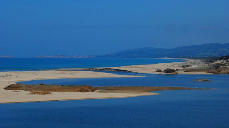 foto 23 Affitto tra privati Valledoria appartement Sardegna Sassari (provincia di) Spiaggia