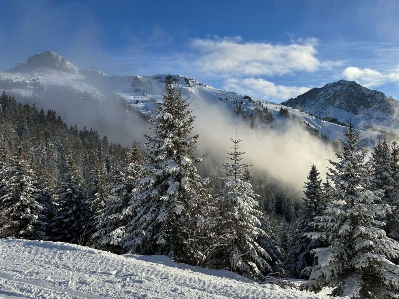 foto 0 Affitto tra privati Thollon Les Mmises appartement Rodano Alpi Alta Savoia Altra vista