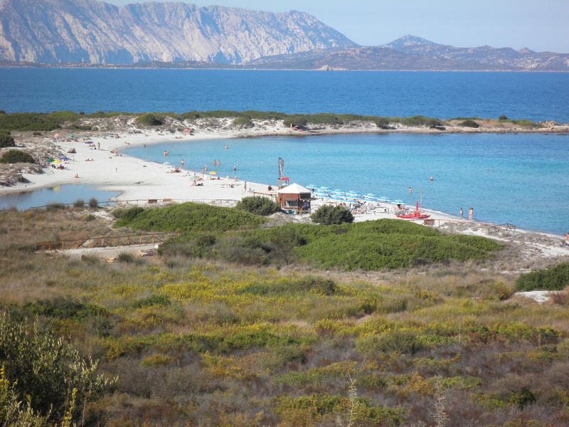 foto 2 Affitto tra privati San Teodoro appartement Sardegna Olbia Tempio (provincia di)