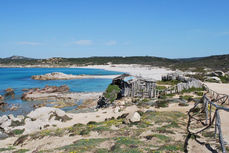 foto 19 Affitto tra privati Santa Teresa di Gallura villa Sardegna Olbia Tempio (provincia di) Spiaggia