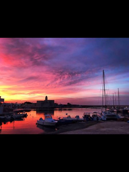 foto 22 Affitto tra privati Ostuni villa Puglia Brindisi (provincia di) Altra vista