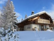Affitto case vacanza Francia per 14 persone: chalet n. 112178