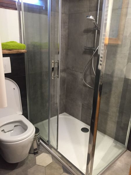 foto 24 Affitto tra privati Annecy appartement Rodano Alpi Alta Savoia Bagno