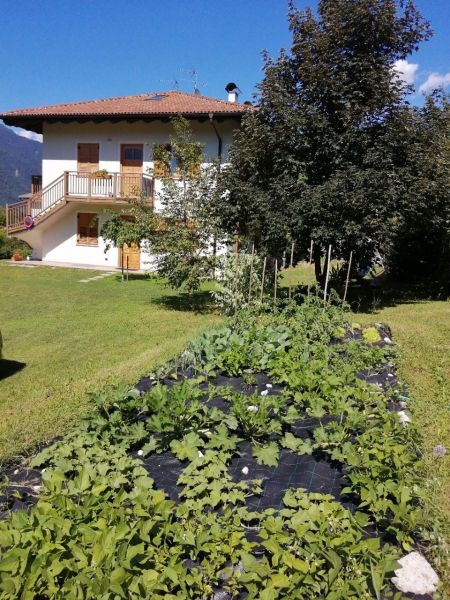 foto 9 Affitto tra privati Levico Terme appartement Trentino Alto Adige Trento (provincia di) Giardino