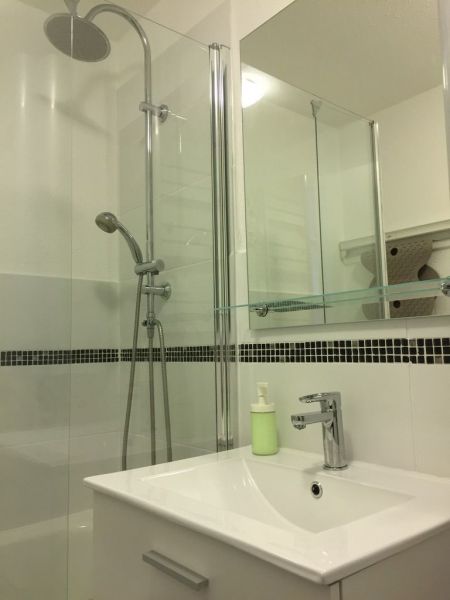 foto 7 Affitto tra privati Les Sept Laux studio Rodano Alpi Isre Bagno