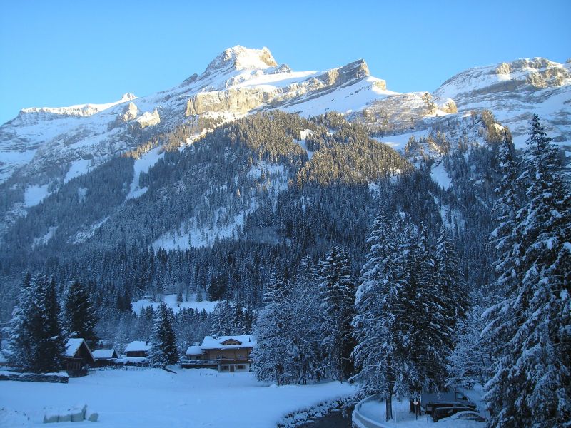 foto 4 Affitto tra privati Les Diablerets appartement Vaud