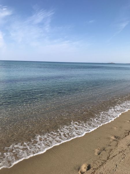 foto 29 Affitto tra privati Badesi maison Sardegna Olbia Tempio (provincia di) Spiaggia