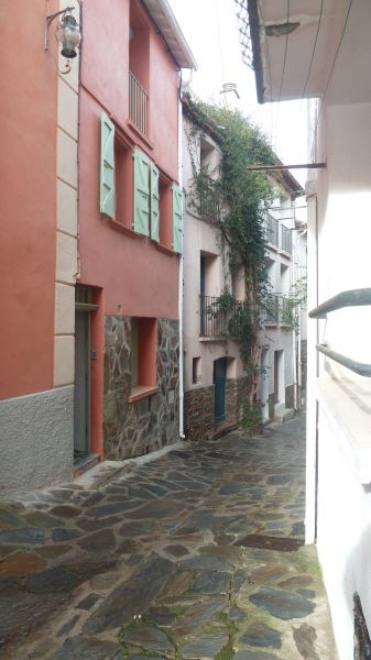foto 14 Affitto tra privati Collioure studio Linguadoca-Rossiglione Pirenei Orientali (Pyrnes-Orientales) Vista esterna della casa vacanze