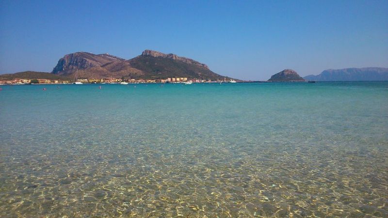 foto 17 Affitto tra privati Golfo Aranci appartement Sardegna Olbia Tempio (provincia di) Spiaggia