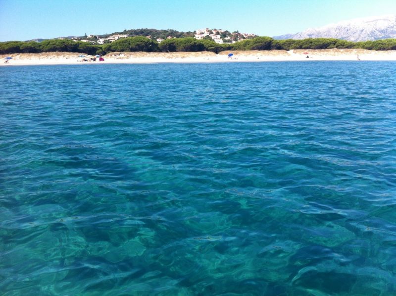 foto 1 Affitto tra privati Sa Petra Ruja appartement Sardegna Nuoro (provincia di) Spiaggia