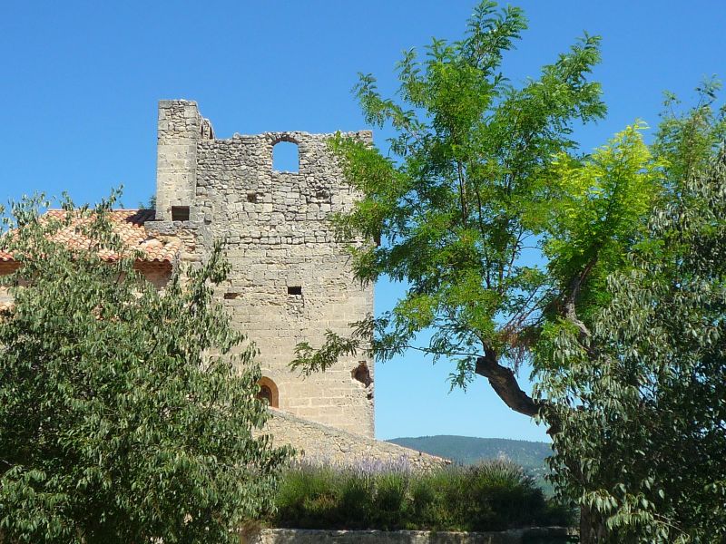 foto 17 Affitto tra privati La Tour d'Aigues gite Provenza Alpi Costa Azzurra Valchiusa