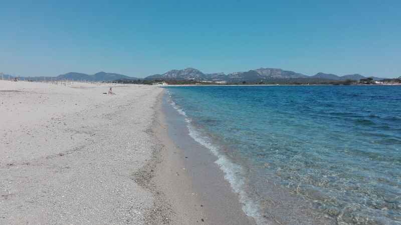 foto 8 Affitto tra privati Porto Istana appartement Sardegna Olbia Tempio (provincia di) Spiaggia