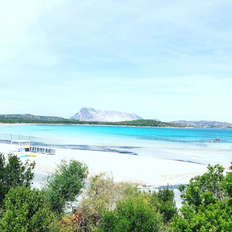 foto 15 Affitto tra privati Porto San Paolo appartement Sardegna Olbia Tempio (provincia di) Spiaggia